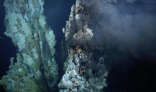 Puy des Folles Seamount on the Mid-Atlantic Ridge - ISA30-1 -24March2025