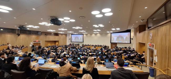 A view of the plenary v2 - BBNJ - 14Apr2025 copy.jpg