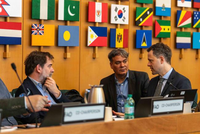 Álvaro Toledo, Tobias Kiene and Jorge Cabrera, ITPGRFA Secretariat - ITPGRFA_OEWG13_2april2025-photo
