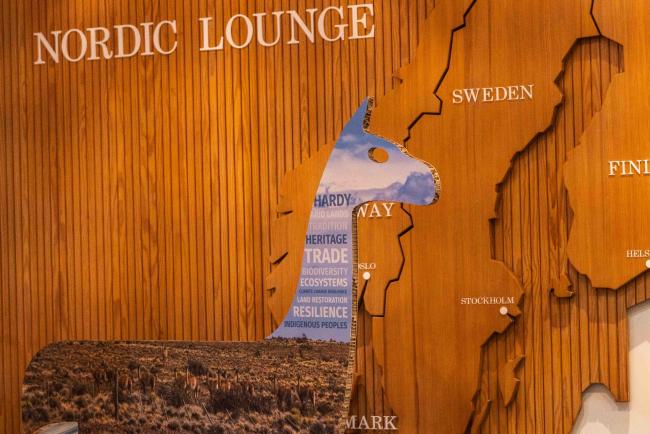 Alpacka in the Nordic Lounge - ITPGRFA_OEWG13_4april2025-photo
