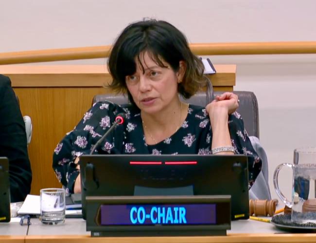 Co-chair BBNJ - 21Apr2025