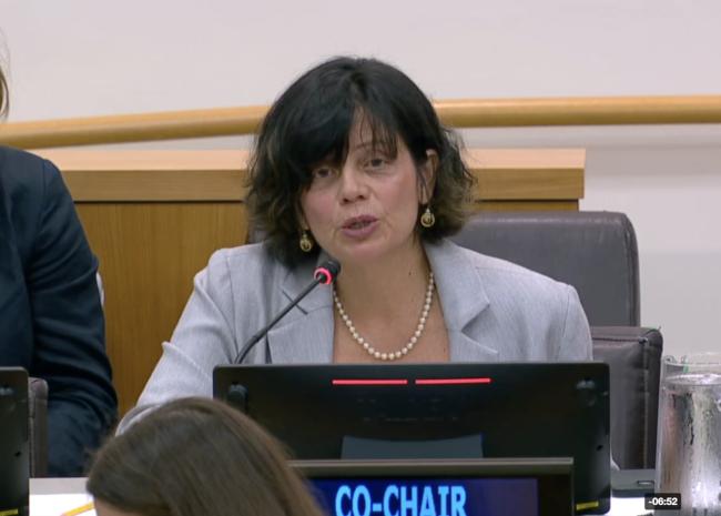 BBNJ PrepCom Co-Chair Janine Felson - BBNJ - 22Apr2025.jpeg