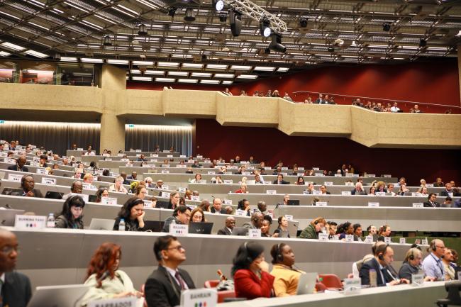 View of the room during the morning plenary