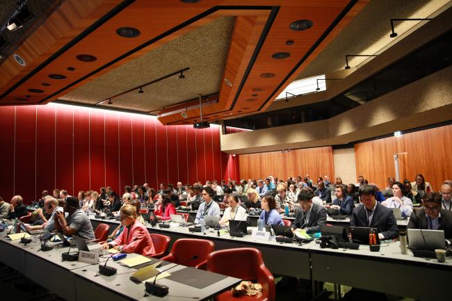 View of the room during a Contact Group on Basel Convention legal matters
