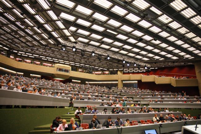 View of the room during the morning plenary