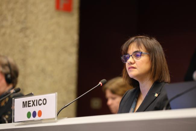 Miriam Medel Garcia, Mexico