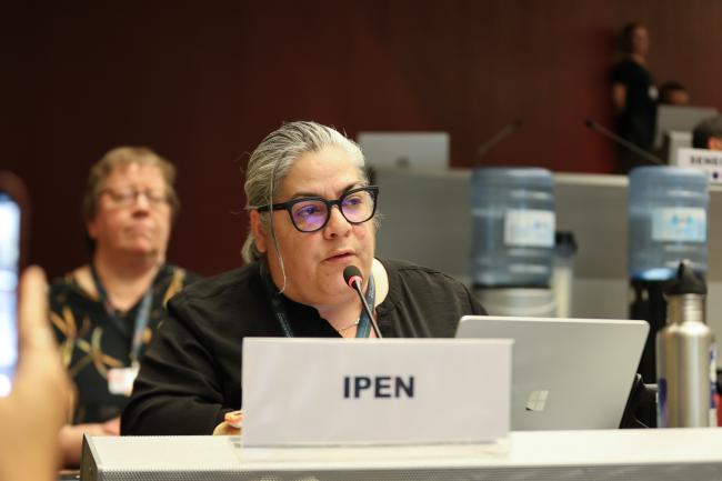 Samarys Seguinot-Medina, International Pollutants Elimination Network
