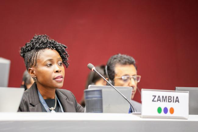 Perine Nkosi Kasonde, Zambia