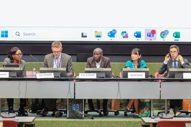 View of the dais during a Contact Group on the Stockholm Convention listing of chemicals