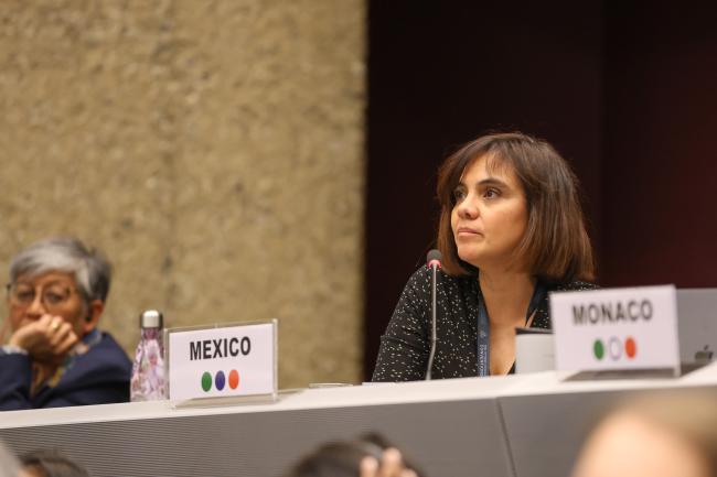 Miriam Medel García, Mexico