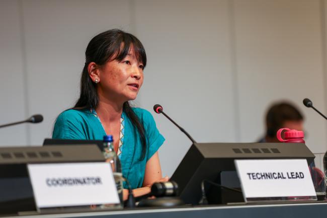 Kei Ohno Woodall, BRS Conventions Secretariat