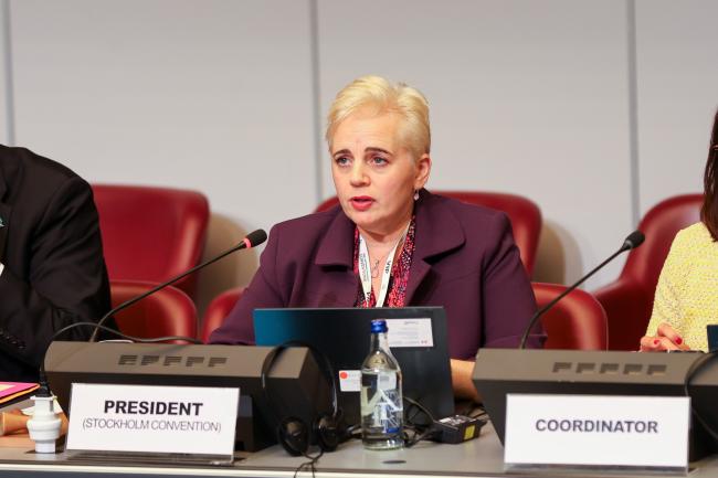 Stockholm Convention COP12 President Maya Berci