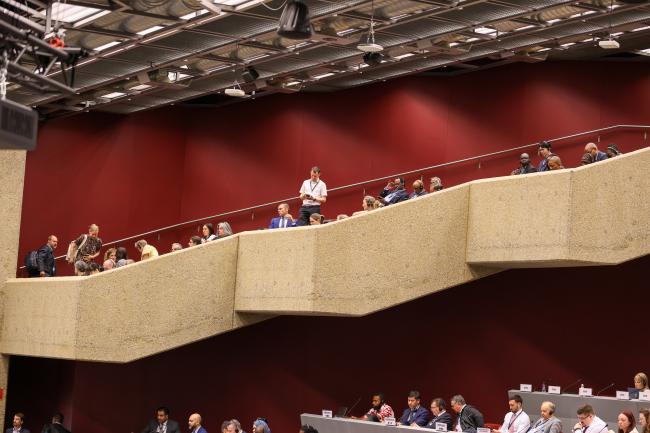 Plenary
