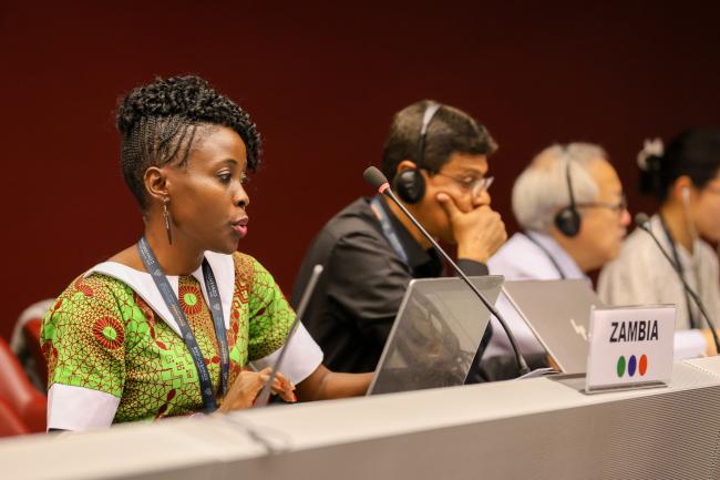 Perine Nkosi Kasonde, Zambia