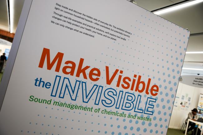 Make Visible the Invisible