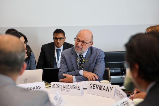 Carlos Manuel Rodríguez, CEO and Chairperson, Global Environment Facility