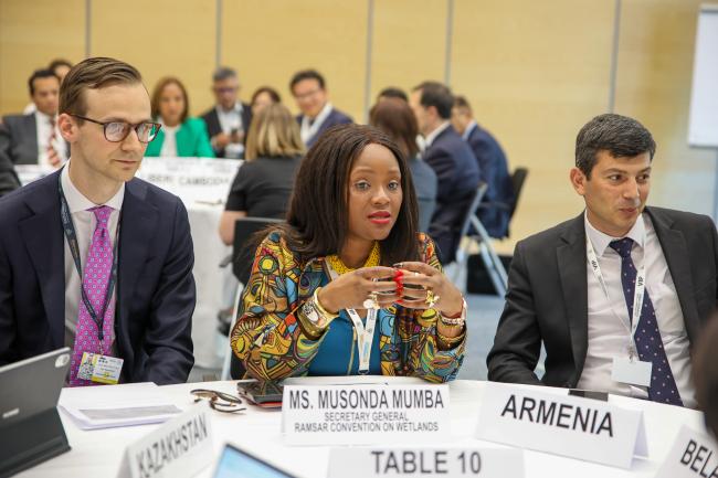 From L-R: Ian Naumkin, Russian Federation; Musonda Mumba, Secretary General, Ramsar Convention on Wetlands; and Tigran Gabrielyan, Deputy Minister of Environment, Armenia;