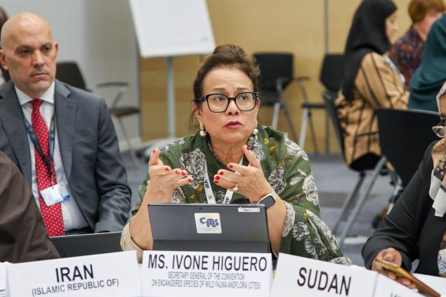 Ivonne Higuero, Secretary-General, Convention on International Trade in Endangered Species of Wild Fauna and Flora (CITES)