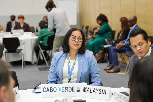 Clara Delgado Jesus, Ambassador to Switzerland, Cabo Verde