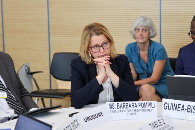 Barbara Pompili, Ambassador for the Environment, France