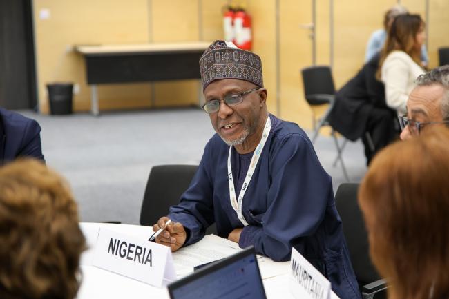 Balarabe Abbas Lawal, Minister of Environment, Nigeria