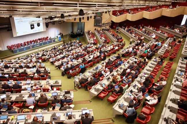 View of the room during the afternoon plenary