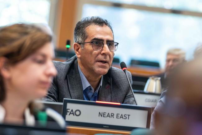 Behzad Sorkhilalehloo, Near East - ITPGRFA_OEWG13_3april2025-photo