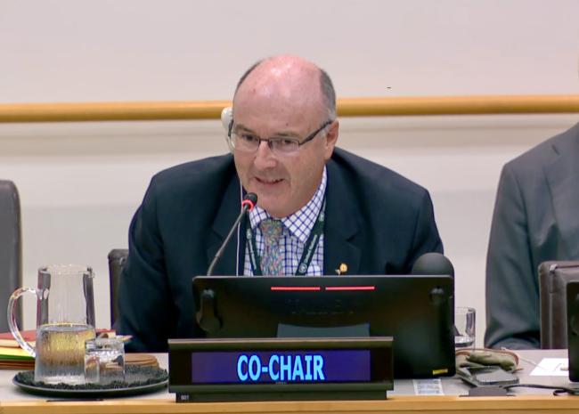 PrepCom Co-Chair Adam McCarthy (Australia)