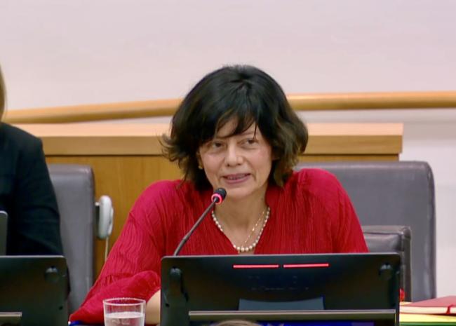 Janine Felson Co-chair 2 - BBNJ - 25Apr2025.jpeg