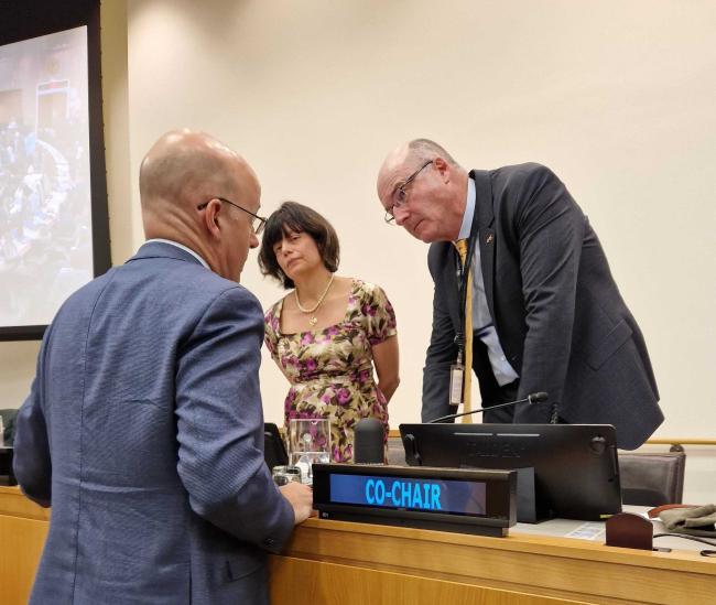 Co-chairs - BBNJ - 14Apr2025.jpg