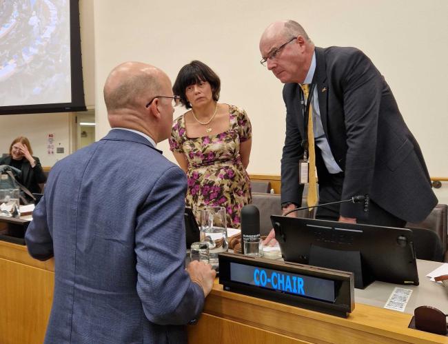 Co-chairs v2 - BBNJ - 14Apr2025