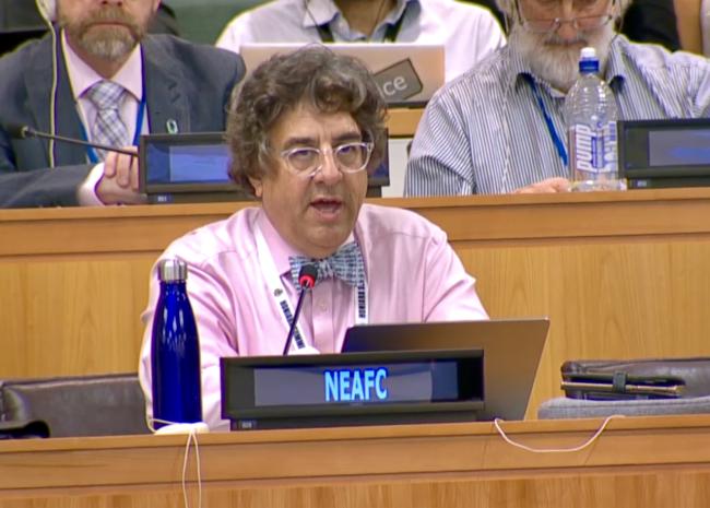 Darius Campbell, North-East Atlantic Fisheries Commission (NEAFC) - BBNJ - 22Apr2025.jpeg