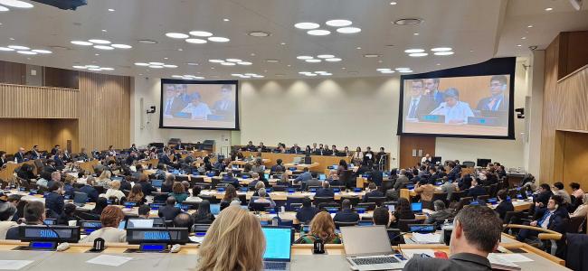 Delegate from the Phillipines - BBNJ - 14Apr2025.jpg