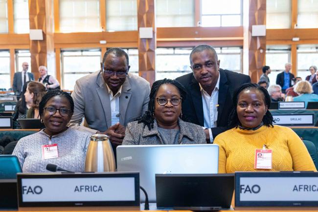 Delegates from Africa - ITPGRFA_OEWG13_4april2025-photo