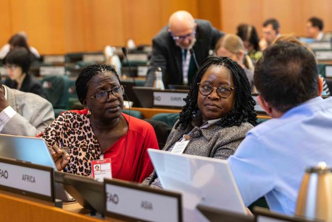 Delegates from Africa and Asia conferring - ITPGRFA_OEWG13_2april2025-photo