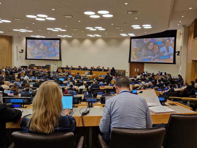 EU - BBNJ - 15Apr2025.jpg