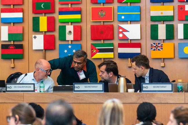 From L-R - Working Group Co-Chairs Michael Ryan and Sunil Archak, with Álvaro Toledo and Tobias Kiene, ITPGRFA Secretariat ITPGRFA_OEWG13_3april2025-photo