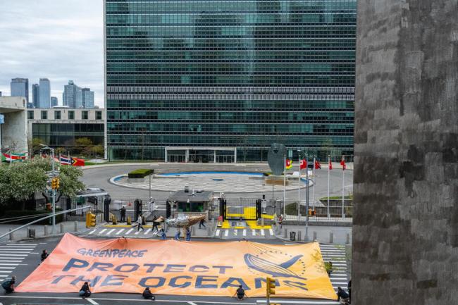 Greenpeace shot of banner by Stephanie Keith - BBNJ - 22Apr2025.jpg