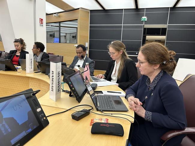 Representatives from the UN Convention to Combat Desertification and the Ramsar Convention on Wetlands offered inputs on the discussion on mainstreaming water within UN Rio Conventions