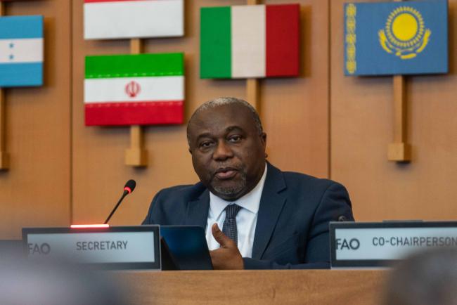 ITPGRFA Secretary Kent Nnadozie - ITPGRFA_OEWG13_1april2025-photo