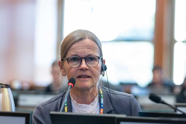 Imke Thormann, Europe - ITPGRFA_OEWG13_2april2025-photo
