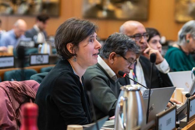 Isabelle Fragnière, Europe - ITPGRFA_OEWG13_3april2025-photo