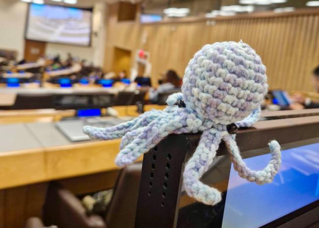 Knitted octopus 2 - BBNJ - 24Apr2025 - 2 of 2.jpeg