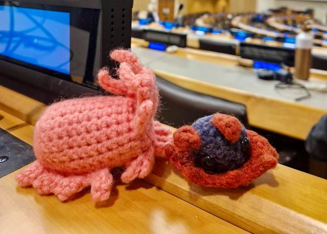 Knitted sea creatures - BBNJ - 23Apr2025 - 1 of 2.jpeg