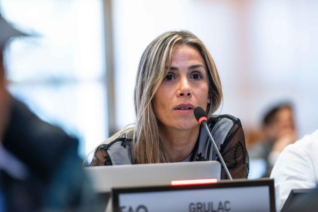 Lara Fazzolari, GRULAC - ITPGRFA_OEWG13_2april2025-photo