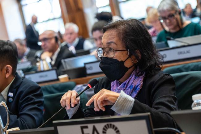 Lorna Herradura, Asia - ITPGRFA_OEWG13_3april2025-photo