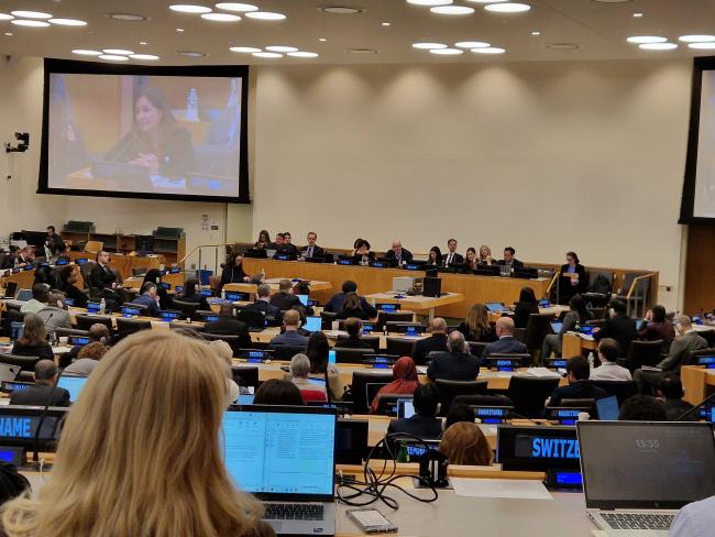 Minister from Chile - BBNJ - 15Apr2025.jpg