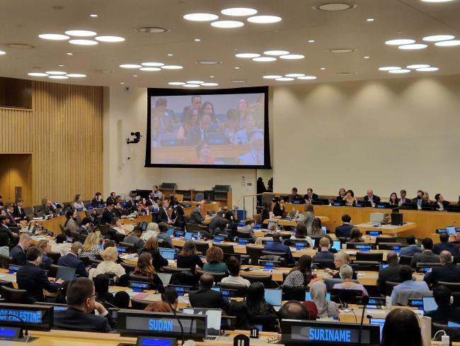 NGO intervention - BBNJ - 14Apr2025.jpg