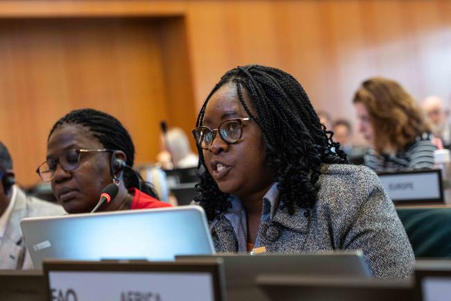 Remmie Hilukwa, Africa - ITPGRFA_OEWG13_2april2025-photo