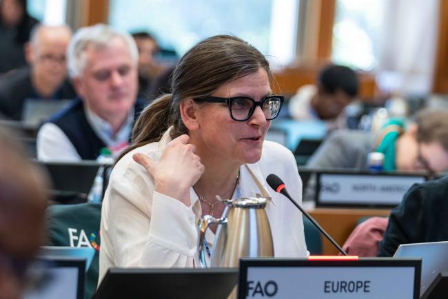 Svanhild-Isabelle Batta Torheim, Europe - ITPGRFA_OEWG13_3april2025-photo